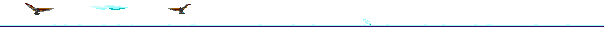 hawk.gif (6900 bytes)